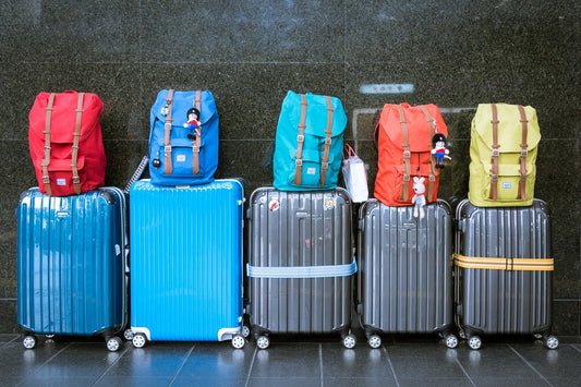 luggage rental