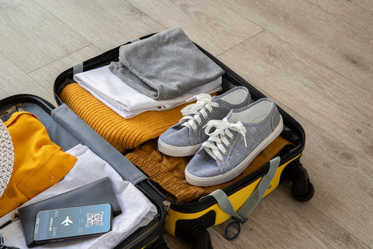 renting luggage