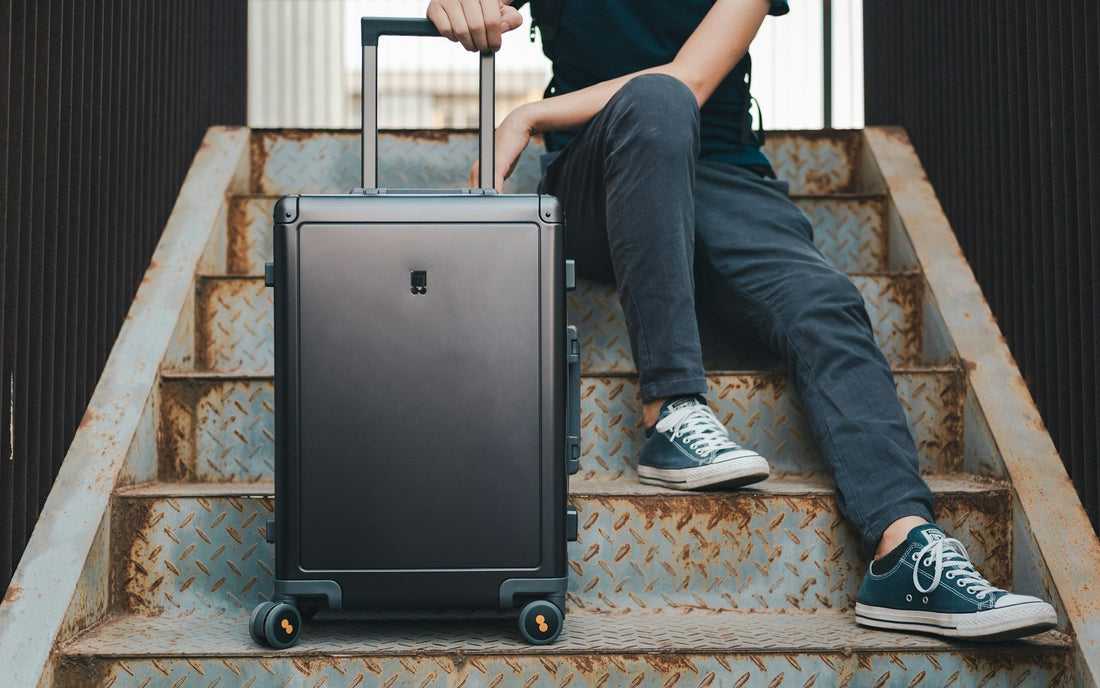 Luggage