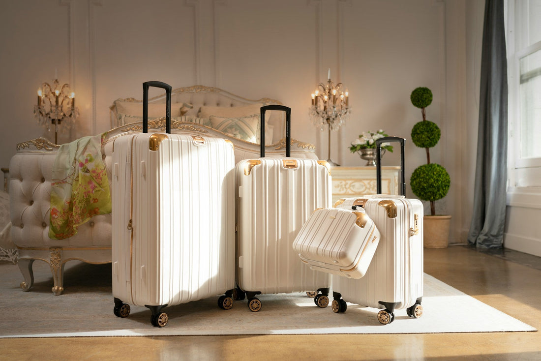 luggage rental
