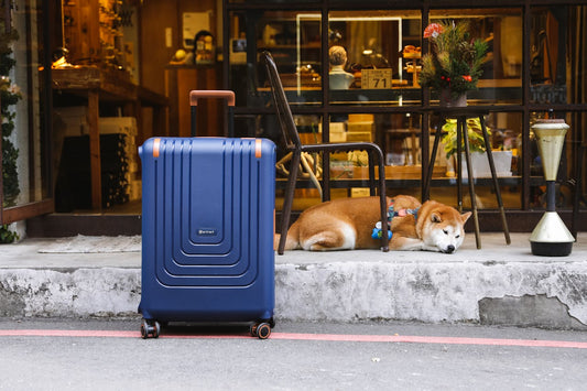 Luggage Rental