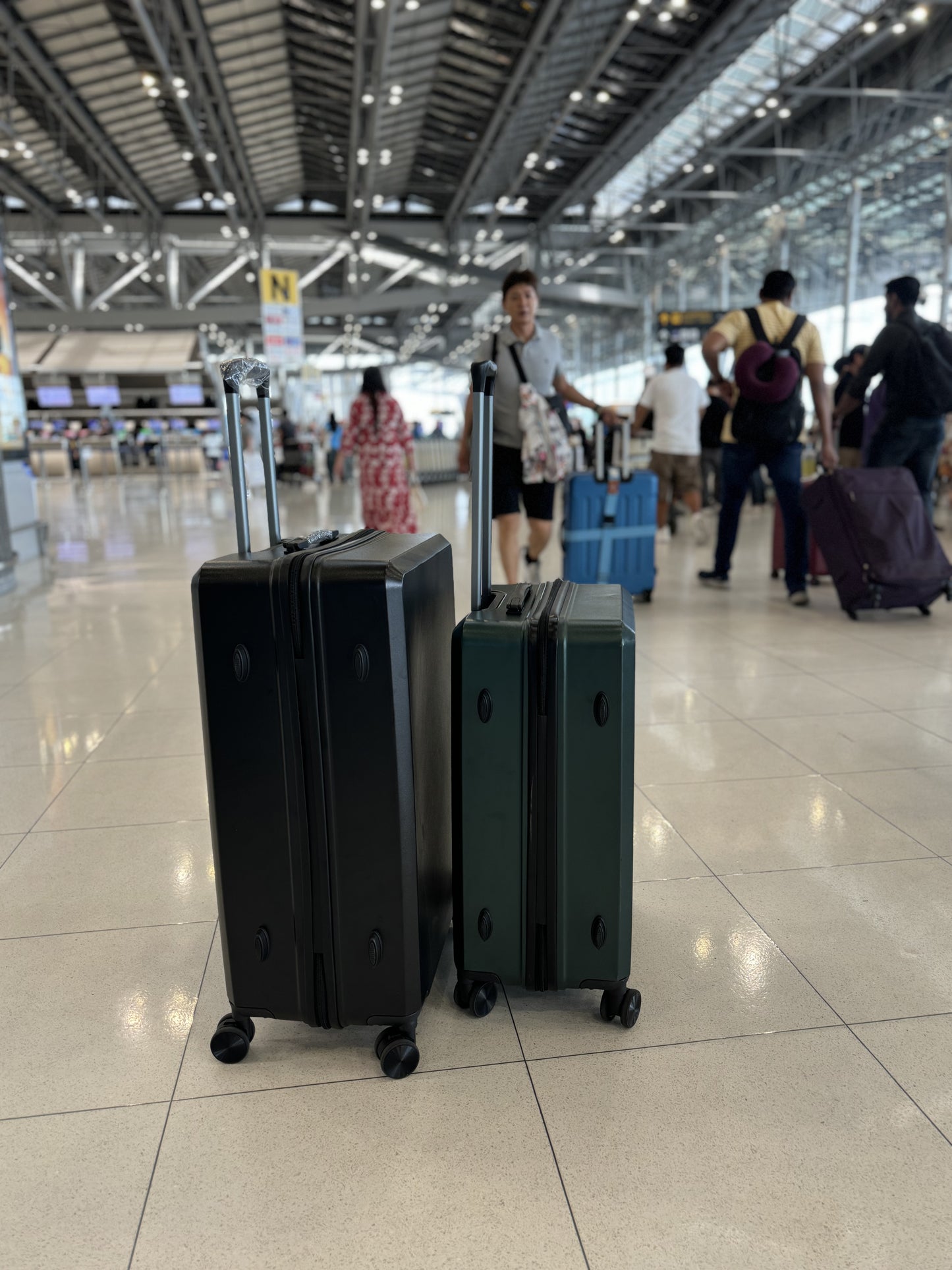 Rental Luggage (Medium Green)